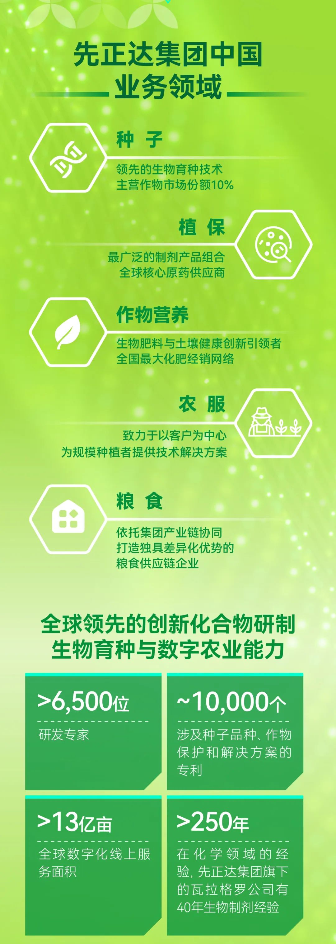 <p>先正达集团中国</p>
<p>业务领域</p>
<p>种子</p>
<p>领先的生物育种技术<br/>主营作物市场份额10%</p>
<p>植保</p>
<p>最广泛的制剂产品组合<br/>全球核心原药供应商</p>
<p>作物营养</p>
<p>生物肥料与土壤健康创新引领者<br/>全国最大化肥经销网络</p>
<p>农服</p>
<p>致力于以客户为中心</p>
<p>为规模种植者提供技术解决方案</p>
<p>粮食</p>
<p>依托集团产业链协同<br/>打造独具差异化优势的<br/>粮食供应链企业</p>
<p>全球领先的创新化合物研制<br/>生物育种与数字农业能力</p>
<p>>6,500位<br/>研发专家</p>
<p>~10.000个</p>
<p>涉及种子品种、作物<br/>保护和解决方案的<br/>专利</p>
<p>>13亿亩</p>
<p>全球数字化线上服<br/>务面积</p>
<p>>250年</p>
<p>在化学领域的经<br/>验,先正达集团旗下<br/>的瓦拉格罗公司有<br/>40年生物制剂经验</p>
