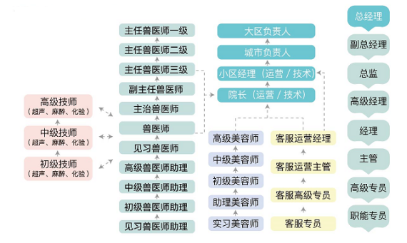<p>高级技师<br/>(超声、麻醉、化验)</p>
<p>中级技师<br/>(超声、麻醉、化验)</p>
<p>初级技师<br/>(超声、麻醉、化验)</p>
<p>主任兽医师一级<br/>主任兽医师二级<br/>主任兽医师三级<br/>副主任兽医师<br/>主治兽医师</p>
<p>兽医师<br/>见习兽医师<br/>高级兽医师助理<br/>中级兽医师助理<br/>初级兽医师助理<br/>见习兽医师助理</p>
<p>大区负责人<br/>城市负责人</p>
<p>总经理<br/>副总经理</p>
<p>小区经理(运营/技术)<br/>院长(运营/技术)</p>
<p>总监<br/>高级经理</p>
<p>高级美容师</p>
<p>客服运营经理</p>
<p>中级美容师<br/>初级美容师<br/>助理美容师</p>
<p>客服运营主管<br/>客服高级专员</p>
<p>实习美容师</p>
<p>客服专员</p>
<p>经理</p>
<p>主管<br/>高级专员<br/>职能专员</p>
