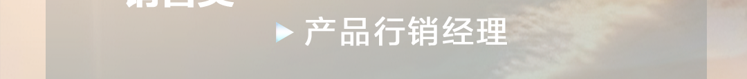 产品行销经理