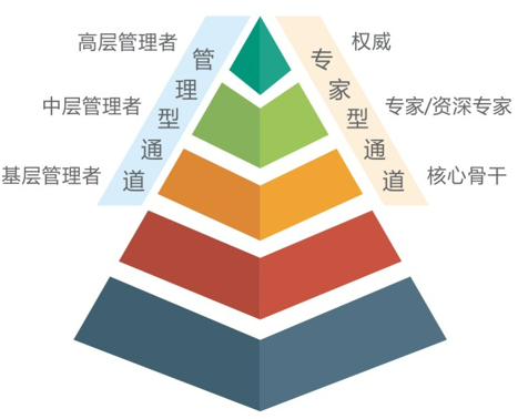 <p>高层管理者<br/>管</p>
<p>理</p>
<p>中层管理者</p>
<p>型</p>
<p>通</p>
<p>基层管理者<br/>道</p>
<p>权威<br/>专</p>
<p>家</p>
<p>专家/资深专家<br/>型<br/>通</p>
<p>道<br/>核心骨干</p>

