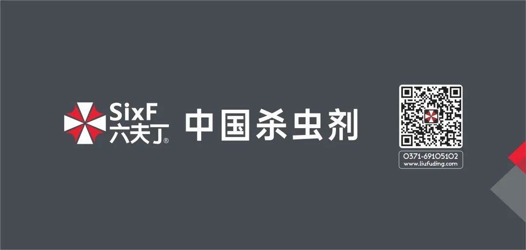 中机