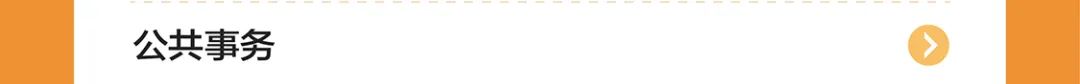 量公共事务