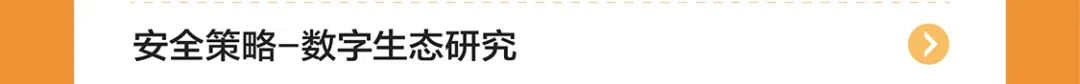 安全策略-数字生态研究