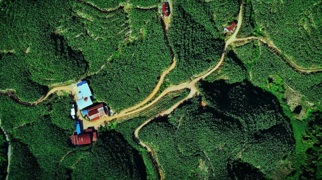 <p>it</p>