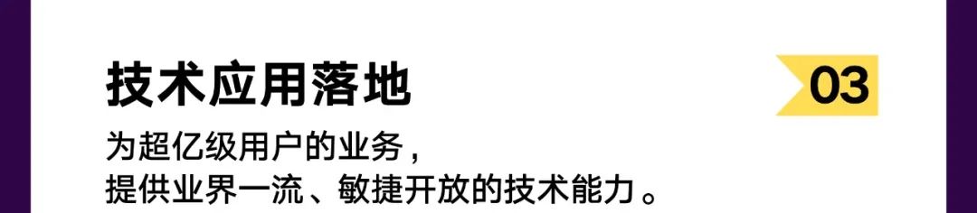 <p>技术应用落地</p>
<p>03</p>
<p>为超亿级用户的业务，</p>
<p>提供业界一流、敏捷开放的技术能力。</p>
