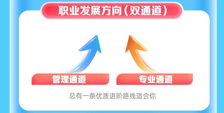 人总有一条优质进阶路线适合你