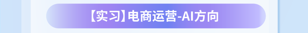 【实习]】电商运营-AI方向