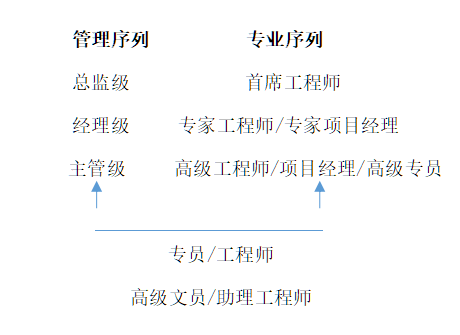 <p>管理序列</p> <p>专业序列</p> <p>总监级</p> <p>首席工程师</p> <p>经理级</p> <p>专家工程师/专家项目经理</p> <p>主管级</p> <p>高级工程师/项目经理/高级专员</p> <p>专员/工程师</p> <p>高级文员/助理工程师</p>
